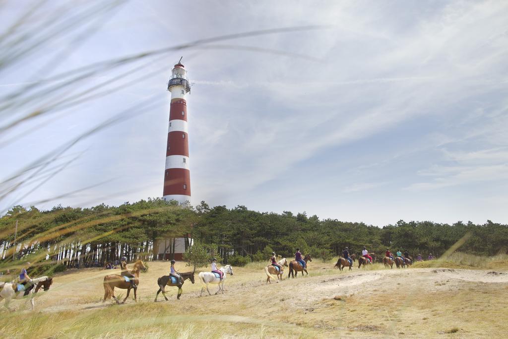 Sier Aan Zee Pansiyon Hollum  Dış mekan fotoğraf